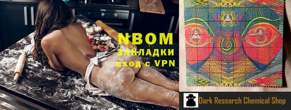 молекула духа Няндома