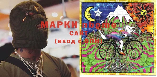 молекула духа Няндома