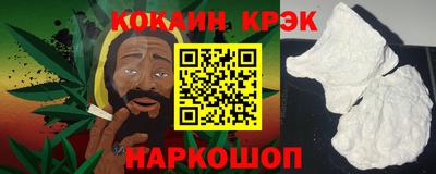шишки Кингисепп