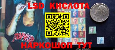 шишки Кингисепп