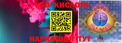 шишки Кингисепп