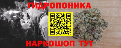 сатива Кинель