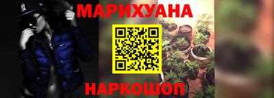шишки Кингисепп