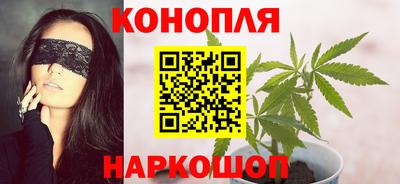 шишки Кингисепп