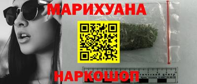 шишки Кингисепп