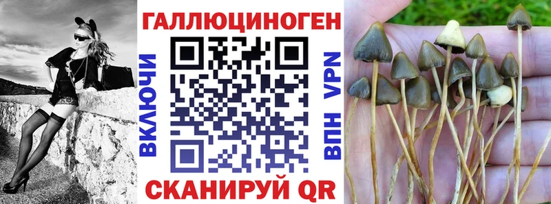 как найти закладки  Сафоново  Галлюциногенные грибы GOLDEN TEACHER 