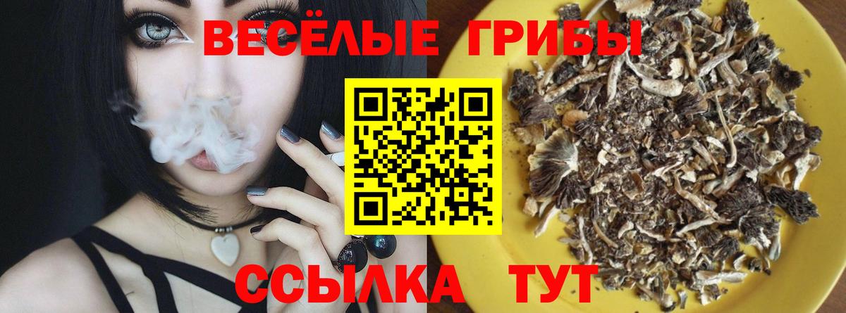 Галлюциногенные грибы Cubensis Сафоново