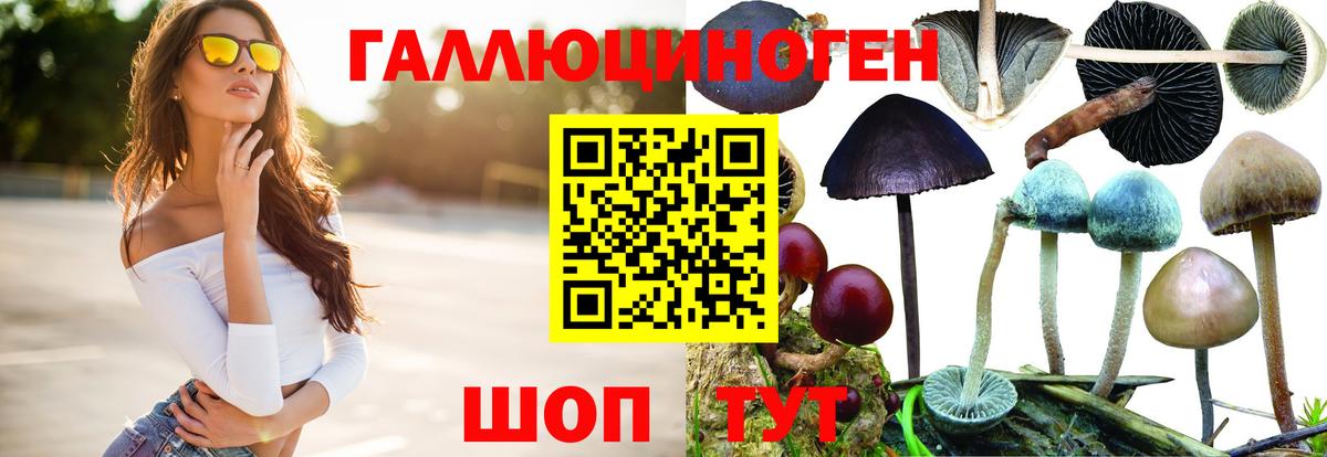 Псилоцибиновые грибы Psilocybine cubensis  Вход с VPN  Сафоново 
